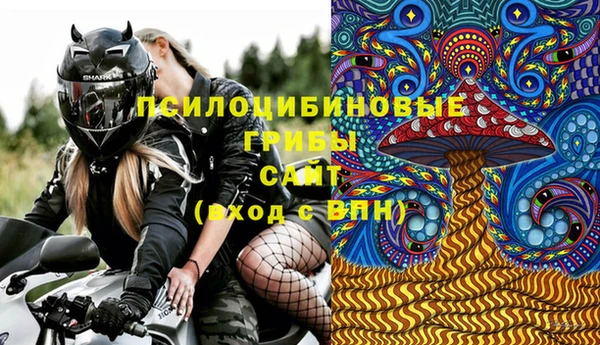 крисы Михайловка