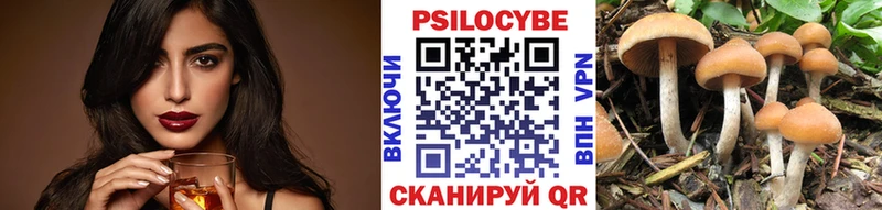 KRAKEN ССЫЛКА  Новоаннинский  Галлюциногенные грибы GOLDEN TEACHER 